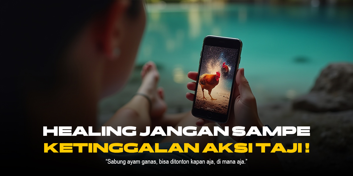 Sabung Ayam SV388: Adu Ayam Terpercaya dengan Odds Menarik